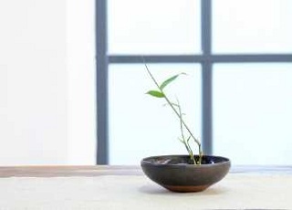 福建專升本：2020年泉州師范學(xué)院成人高考